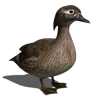 精品动物模型 鸳鸯 野鸭 (1)